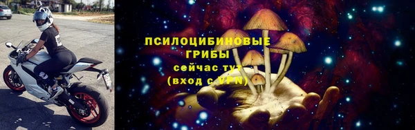эйфоретик Каменка