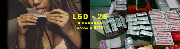 эйфоретик Каменка