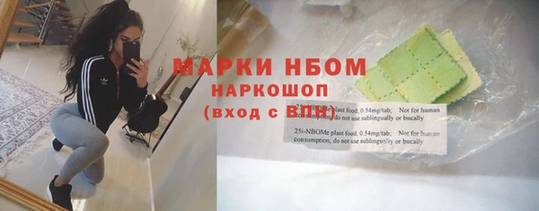эйфоретик Каменка