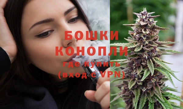 метадон Инта
