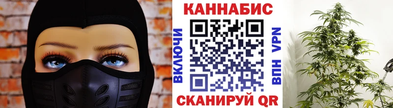 Конопля сатива  Купить где  Духовщина 